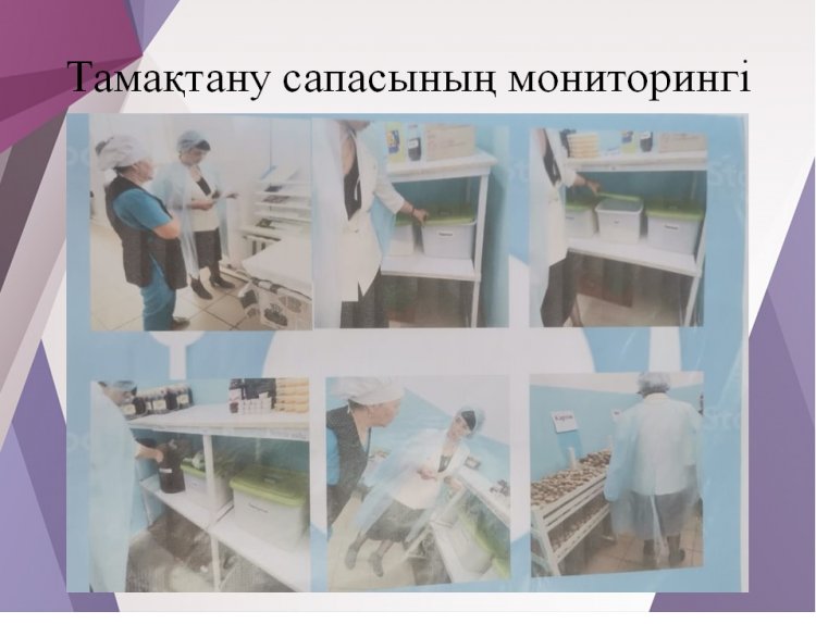Тамақтану сапасына мониторинг жүргізу актісі